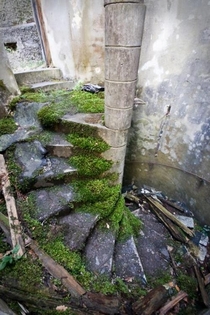 Mossy spiral staircase at St Peters Seminary Cardross Scotland 