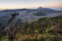 Mount Bromo Indonesia 