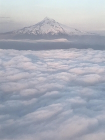 Mount Hood Oregon coming into PDX 