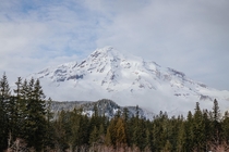 Mount Rainier 