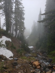 Mount Rainier National Park WA Shrouded in Fog 