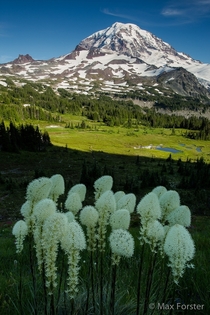 Mount Rainier National Park Washington - 