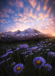 Mount Rainier National Park Washington United States 