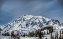 Mount Rainier viewed from the sunrise area taken by me George Matthew Cole 