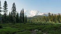 Mount Shasta in a haze from the Milepost  forest fire 