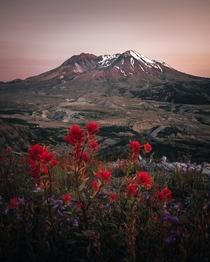 Mount St Helens WA 