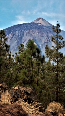 Mount Teide - Tenerife Canary Islands Pico del Teide Lava stone in foreground x