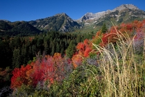 Mount Timpanogos in Utahs Wasatch Range landscape in the USA 