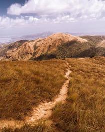 Mountain Path in Altos De Campana Panama  OC