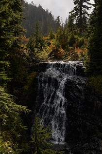 Mt Baker-Snoqualmie National Forest - Washington  x
