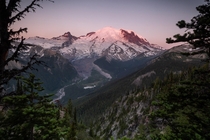 Mt Rainier Emmons Vista WA OC x