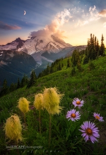 Mt Rainier Washington  by Jeff Lewis