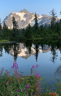 Mt Shuksan reflecting on Picture Lake Washington State USA 
