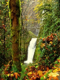 Multnomah Falls along the Colombia River - Oregon 
