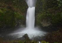 Multnomah Falls in the Colombia River Gorge Oregon x 
