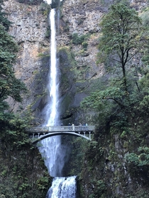 Multnomah Falls Oregon  x