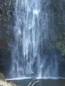 multnomah falls Oregon  x