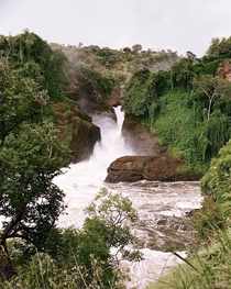 Murchison Falls on White Nile River Uganda 