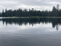 Muskrat lake Idaho x 