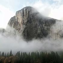 My buddy took this stunning photograph of El Cap with his phone yesterday Oh so perfect  by Mikey Bui