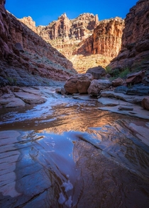 My favorite part about spring is going to the desert Hiking Dark Canyon in southern Utah 
