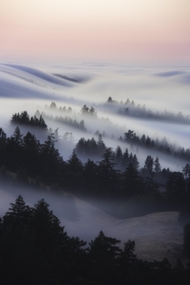 My favorite photo of  it took me  years to capture the rolling fog at Mt Tamalpais CA  nickfjord