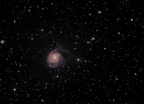 My first shot with new goto mount and astrocam M pinwheel galaxy