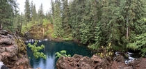 My first time exploring Oregon Tamolitch Falls 