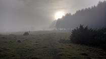 My grainy contribution of an early morning hike in little Skrylle Sweden 