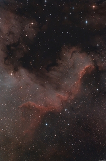 My high resolution version of The North America Nebula - taken last night from my backyard 