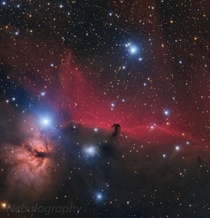 My  hour exposure of the Horshead and Flame Nebula which shows all of the faint dust visible in this region 