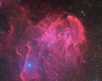 My image of the Running Chicken Nebula  light years away in true color 