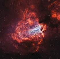 My image of the Swan Nebula - a violent star forming region near the heart of our Milky Way