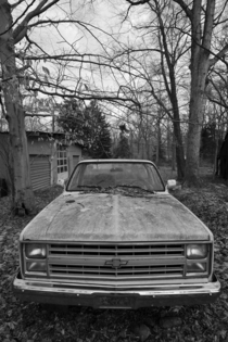 My late grandfathers old abandoned pickup truck 