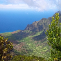 My parents are traveling in Kauai Hawaii--I get emails with pictures like this to start my work day 