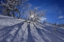 My shot of snow on Sobaek Mountains Yeongju South Korea 