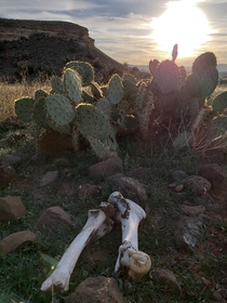 My western money shot A sacred mountain along the  near Sedona Arizona Montezumas Castle and Well loom nearby x OC