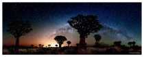 Namibian quiver trees and the glow of the Milky Way 