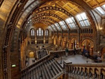 Natural History Museum London 