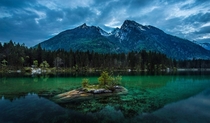 Nature finds a way Berchtesgaden National Park in Germany Photo by Mirko Fikentscher 