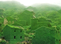 Nature overruns this abandoned Chinese village 
