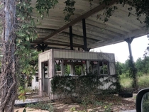 Nature reclaimed this gas station in rural Missouri