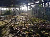 Nature reclaiming an old factory Northern Ireland OC x