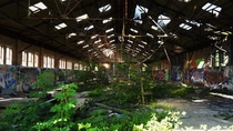 Nature reclaims an abandoned warehouse in the UK countryside