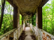 Nature takes back its rights in a decayed Sanatorium 