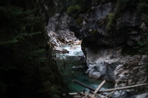 Natures Underpass Banff Canada 