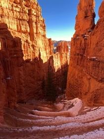 Navajo Loop Trail - Bryce Canyon National Park Utah 