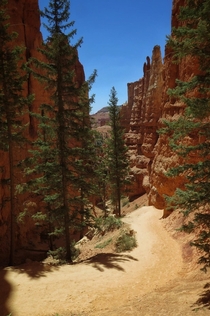 Navajo loop trail in Bryce Canyon this past summer 