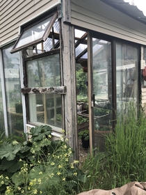 Neglected partially abandoned greenhouse on my property BC Canada