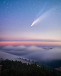 Neowise Comet over a fog wave San Fransisco Bay Area oc 